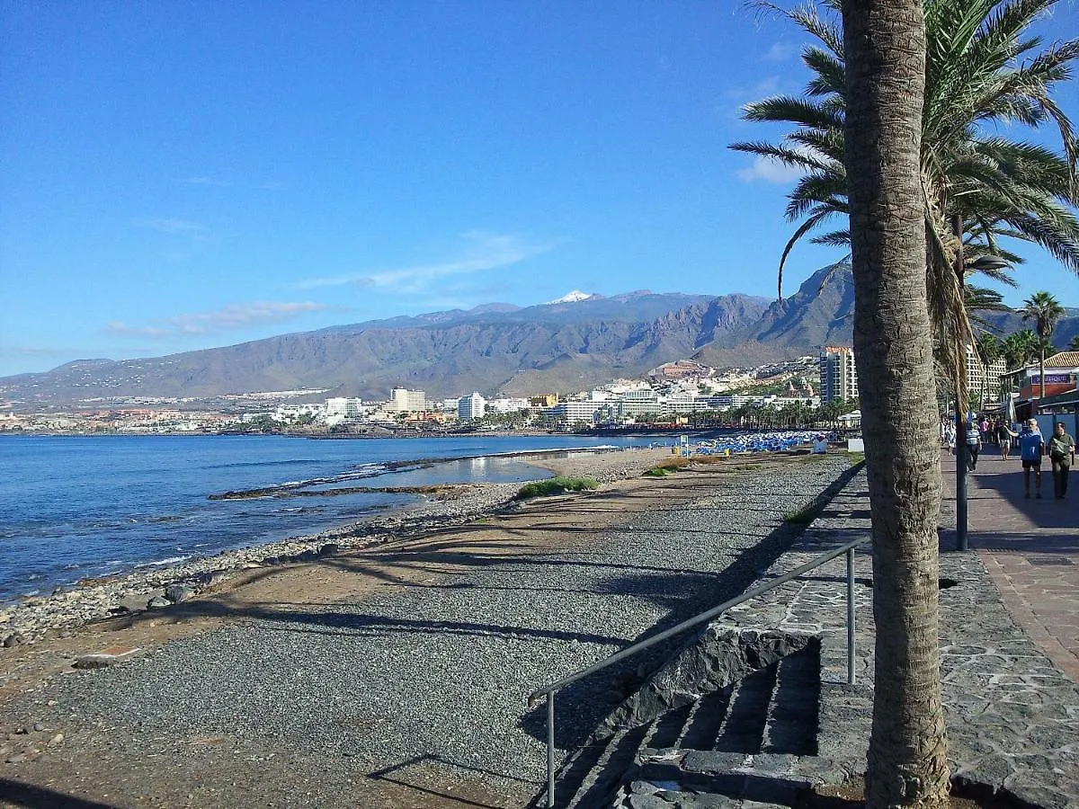 Casa Palmera 2 Arona  0*, Arona (Tenerife) España